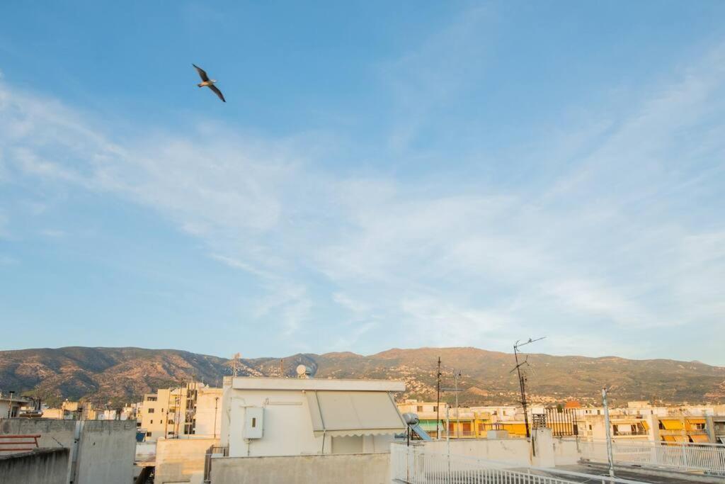Mini Rooftop Apartment, In The Heart Of Volos